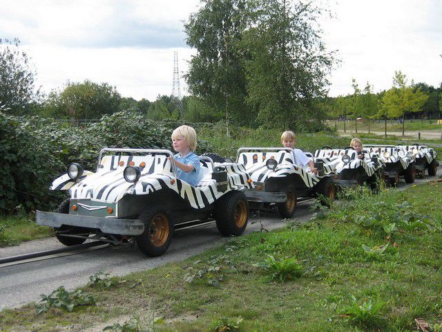 IMG_4166.jpg