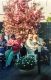 spl_32_20190209113520_2.jpg